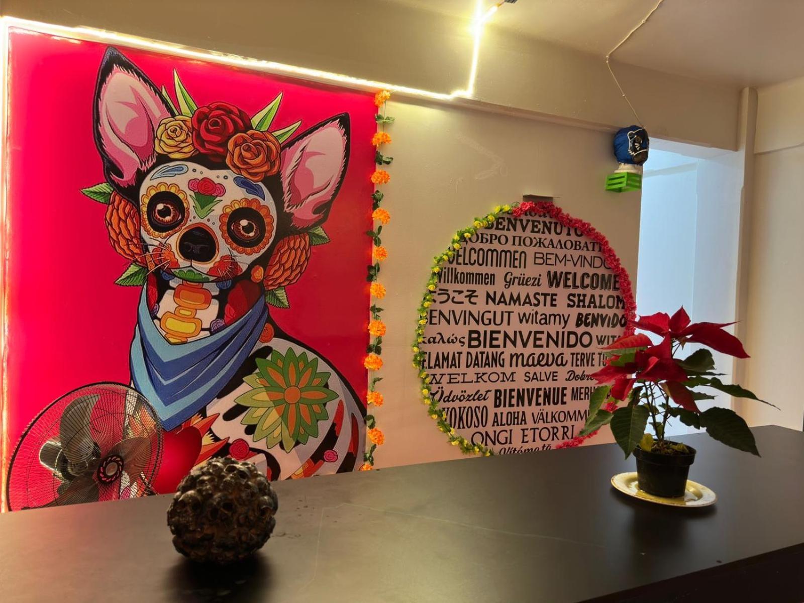 Casa Eufemia Hostel Type Mexico City Luaran gambar