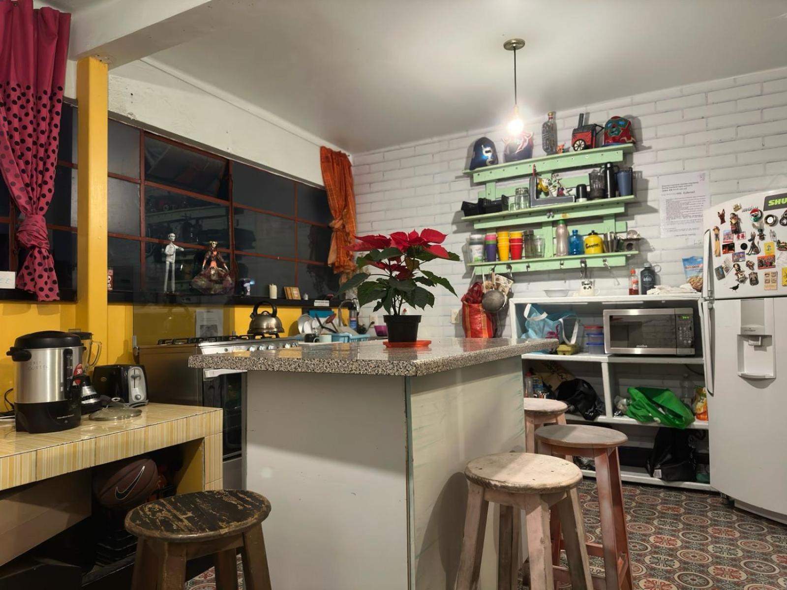 Casa Eufemia Hostel Type Mexico City Luaran gambar